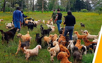 Historia del refugio